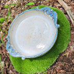 Pie dish